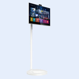 Portable Flat Screen TV
